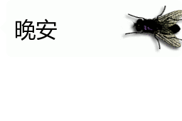 会动的苍蝇表情包 | 你的屏幕上有只苍蝇(32张)