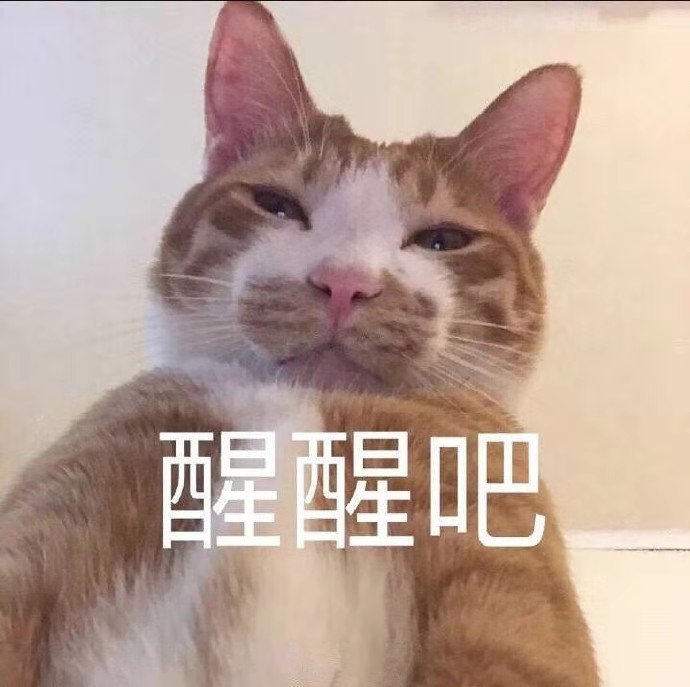 萌宠·表情包:醒醒吧,就算野蛮生长,也不会成为自己的