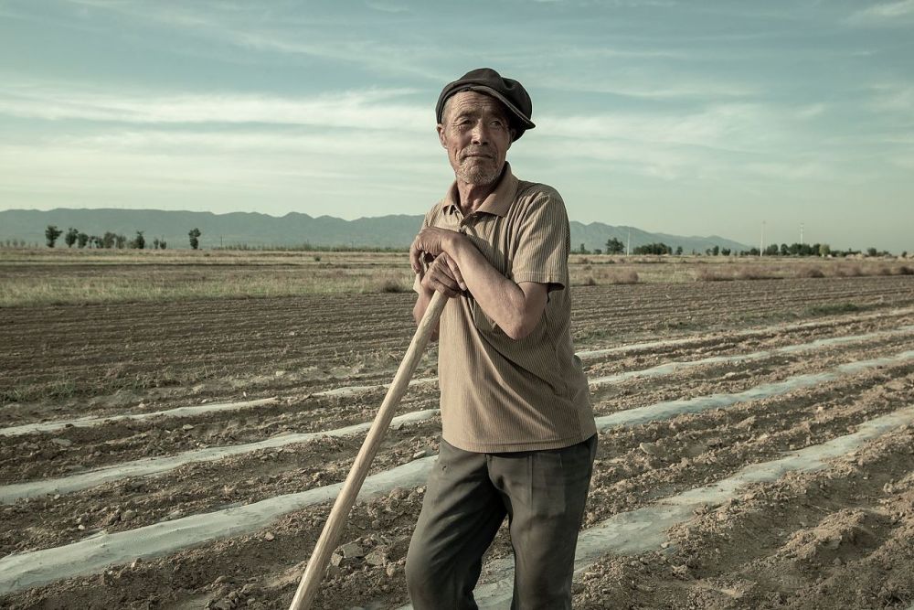 现在,外出打工的农民很多,下一代人不会种地,以后土地