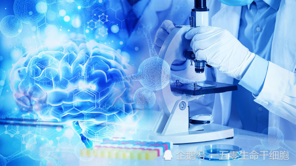 细胞,科学家,艾滋病,白血病患者,干细胞