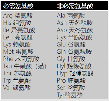 猫的必需氨基酸和非必需氨基酸
