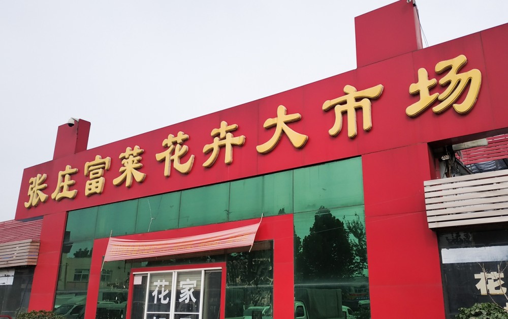 济南最大的花卉市场在北外环,富莱花卉里面别有一番洞天