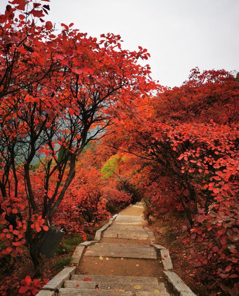 神灵寨风景区,洛宁县,洛阳,红叶,涧口乡