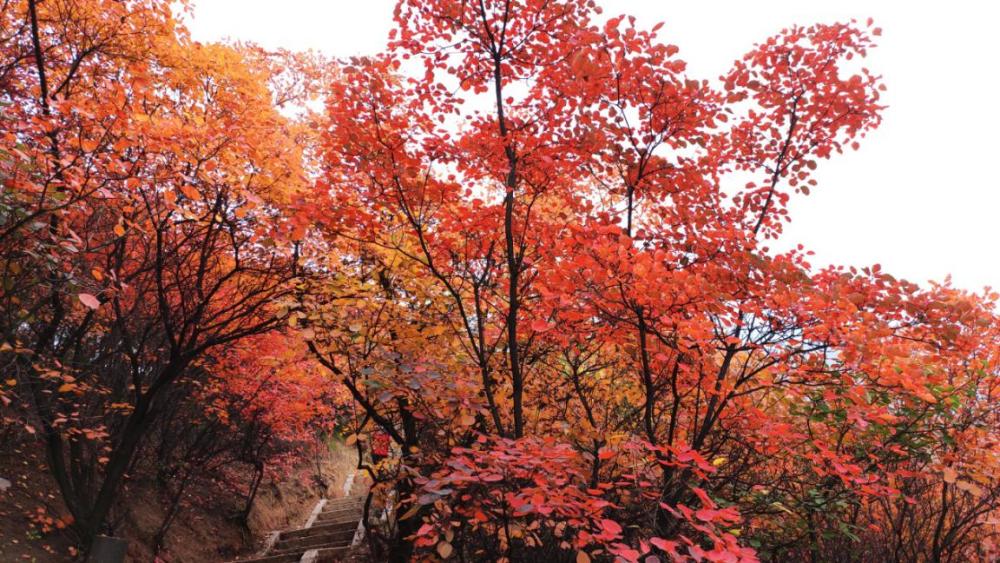 神灵寨风景区,洛宁县,洛阳,红叶,涧口乡