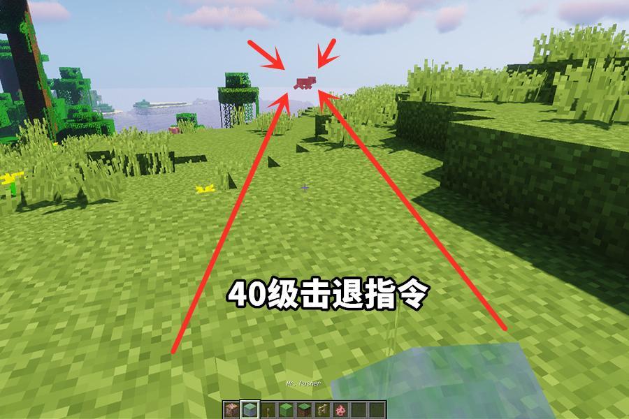 我的世界 一条指令召唤动物版叠罗汉 你能数清有几种生物吗 看点快报