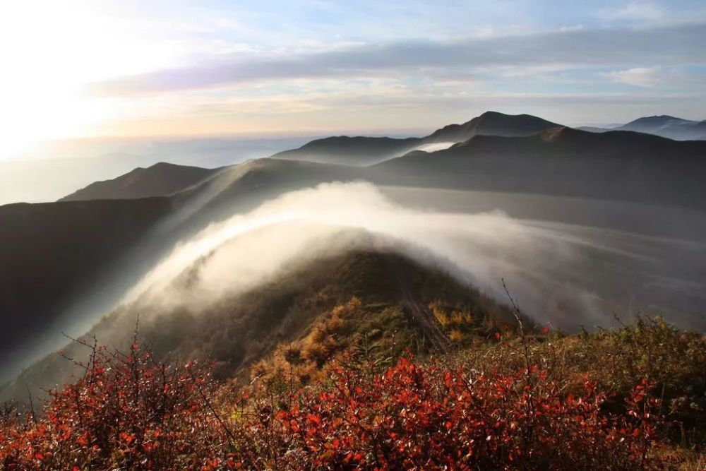 宁夏六盘山:黄土高原上的"绿色宝岛"