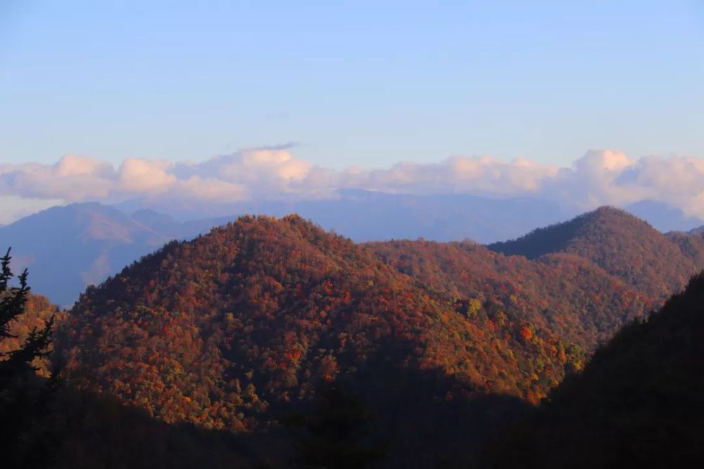 黄柏塬,太白县,落叶松,宝鸡,红叶