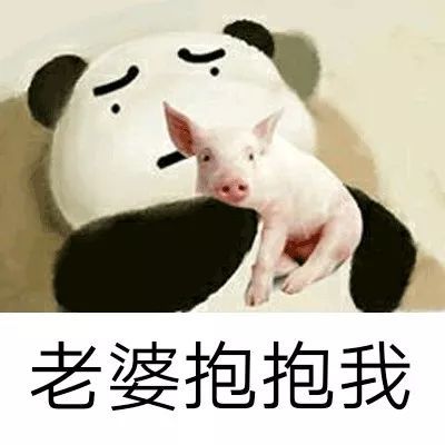 表情包 老婆抱抱我