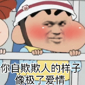 蜡笔小新换脸表情包