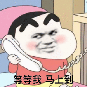 蜡笔小新换脸表情包