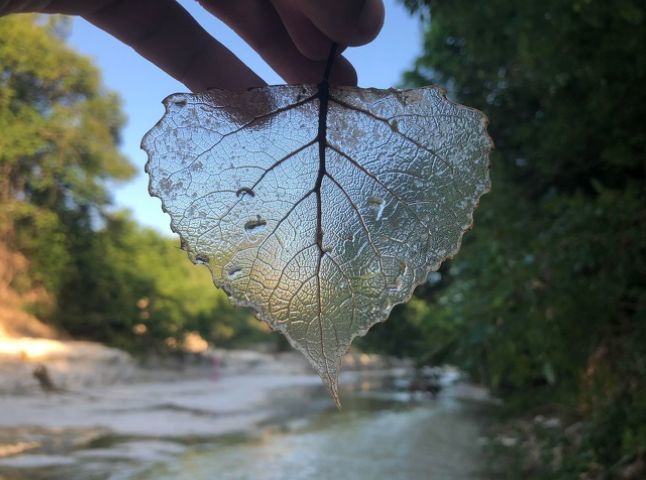 10张难得一见的图片,有点让人感觉"挺神奇"的