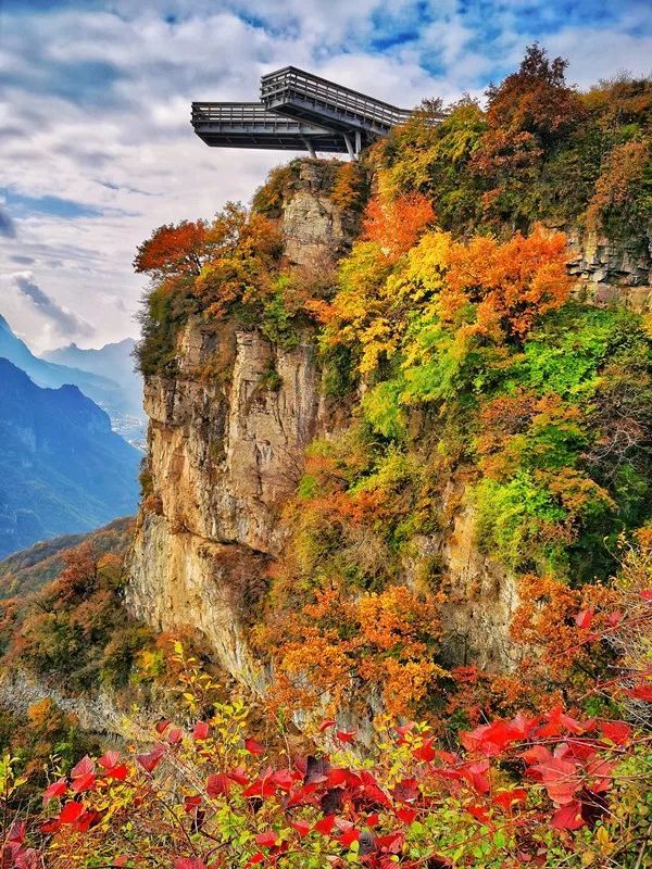 王莽岭免门票啦!