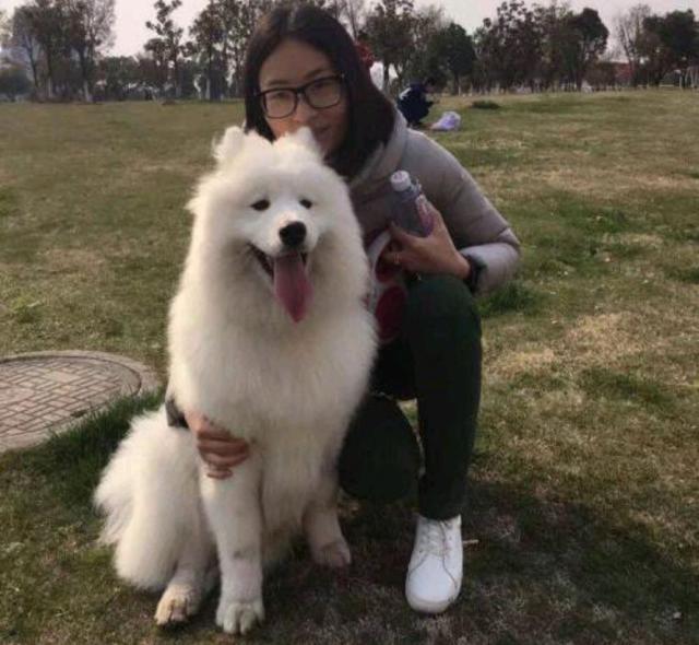 爱狗人士,恨狗人士,理性,爱心,极端