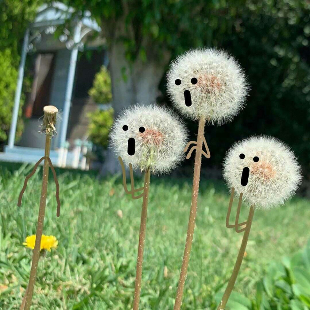 生活中很常见,平凡的画面,但是用另一番目光来看,会发现不同的美,一种