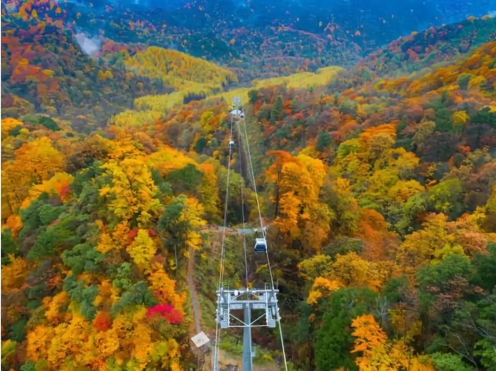 关于米仓山旅游景区