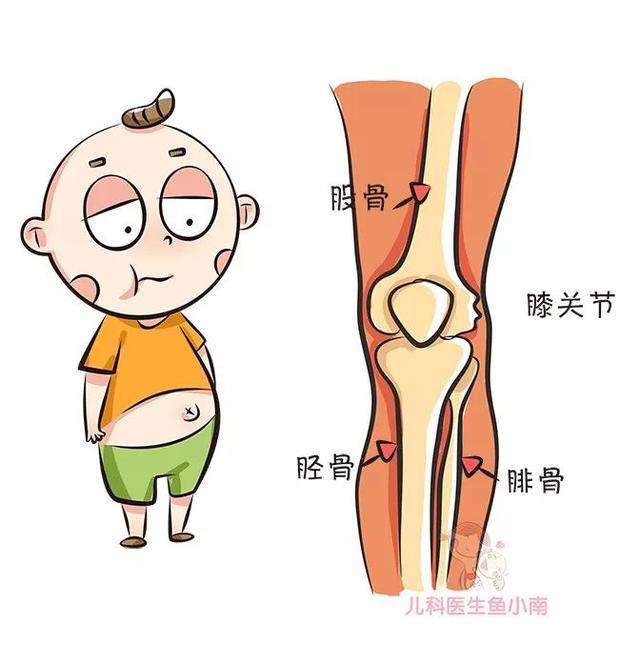 大长腿,骨骼,发育,健康,宝宝