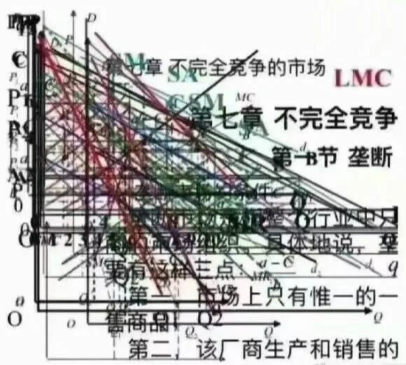 经济学原理表情包 宏观微观经济学不完全竞争的市场 lmc 垄断 市场上