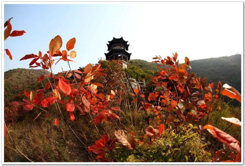 十堰,郧阳区,红叶,郧西,武当山,丹江口