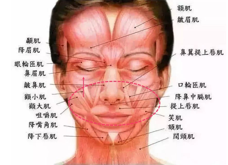 眼霜,皱纹,眼部,黑眼圈,鼻子,知乎,gag,面部,欧莱雅,护肤