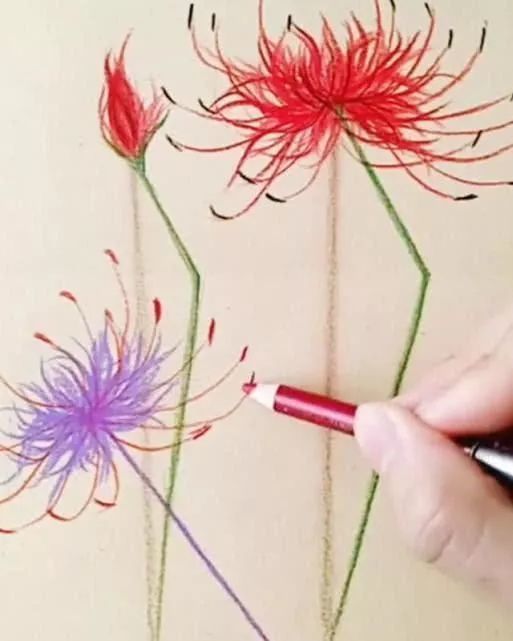 最后大佬又加上了一朵蓝色的彼岸花,使得整个作品更富有美感
