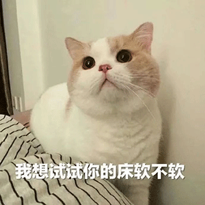 沙雕情侣互怼表情包