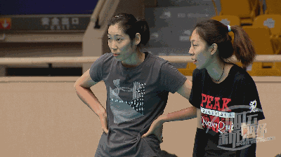 加入了天津女排教练组,他们将根据自身的特长承担起不同的工作任务