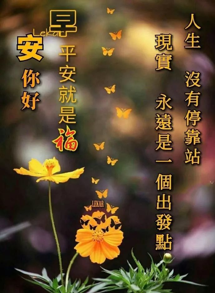 十月初一早上好问候语阳光句子 早上好问候图片表情