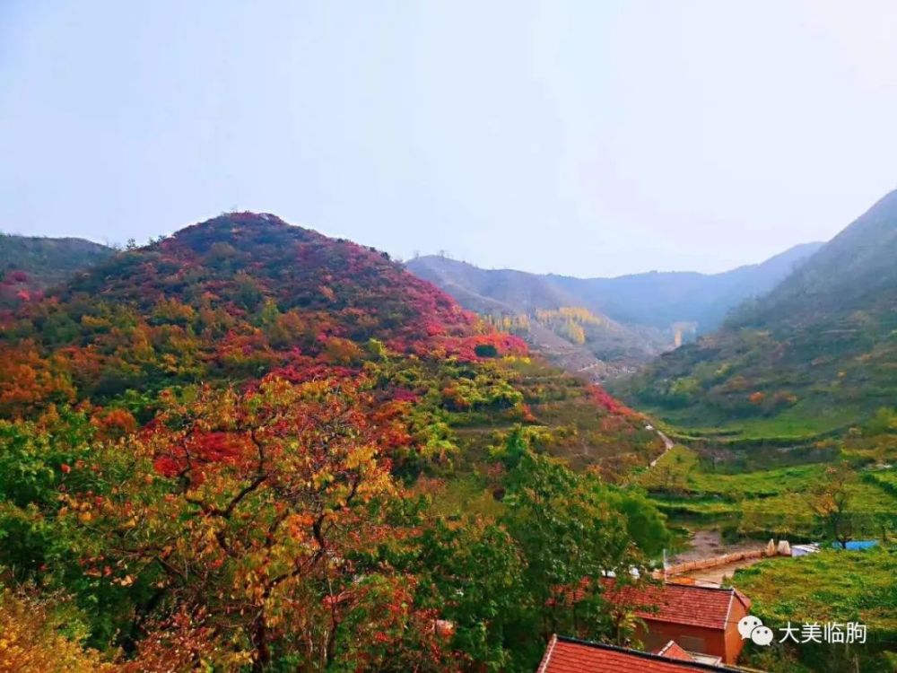 山谷,嵩山,临朐,生态旅游