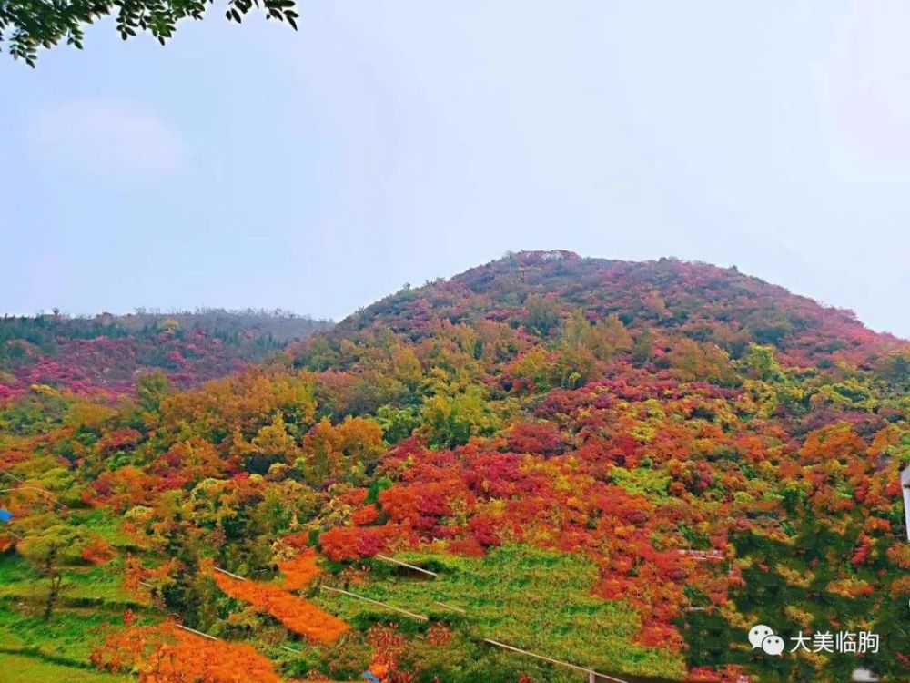 近日,笔者走进了临朐嵩山生态旅游区淹子岭脚下,发现那里的景色唯美