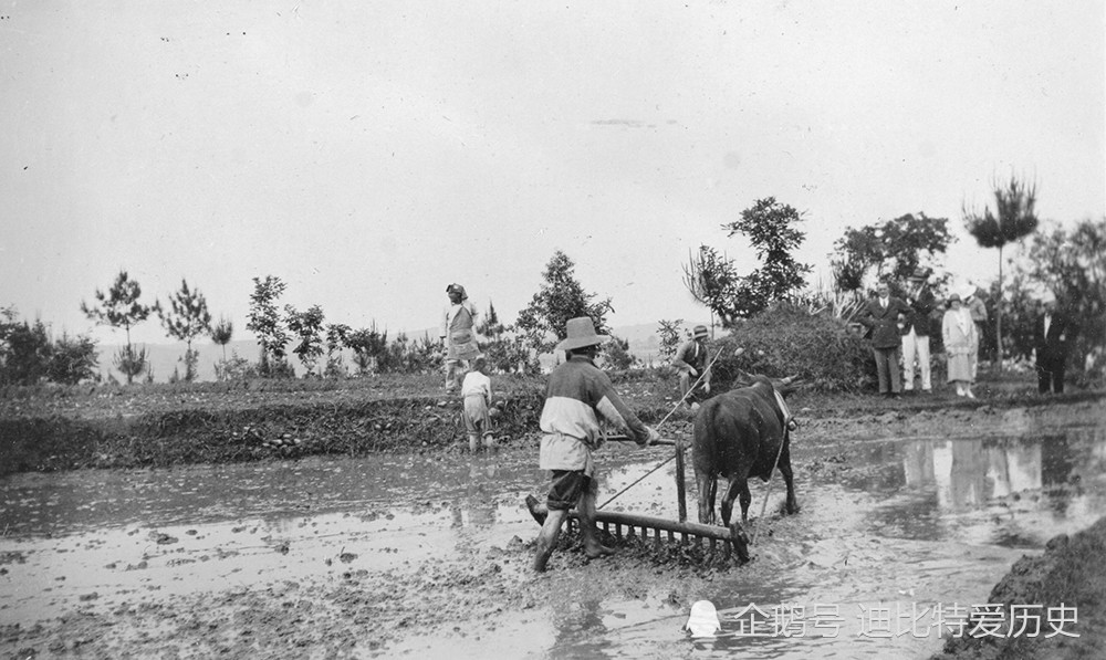 1920年代的社会影像:消失的制瓦工艺,外国人看中国农民耙田