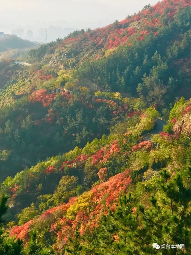 大南山,烟台