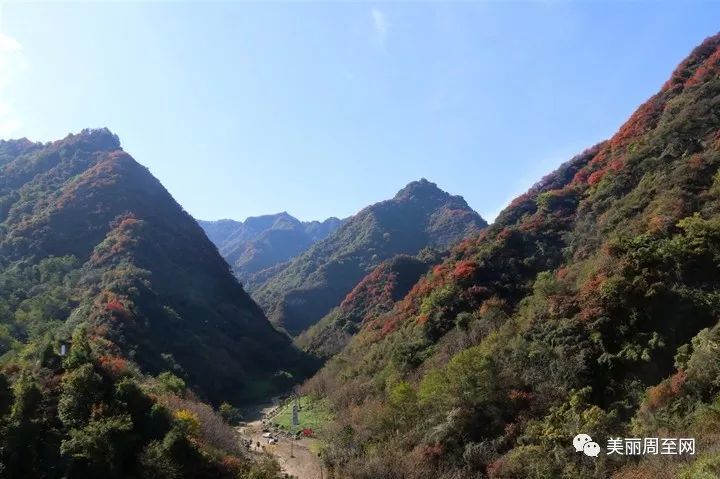 周至翠峰青山红叶美极了