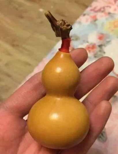 文玩葫芦变红没有捷径可走稳定盘玩才是王道