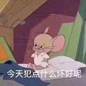猫和老鼠表情包-最近真的太忙了