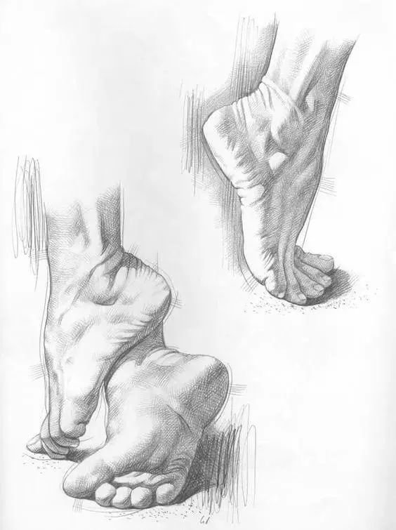 后部(股二头肌,半腱肌和半膜)和内侧肌肉;小腿由前肌群(胫骨前肌等)