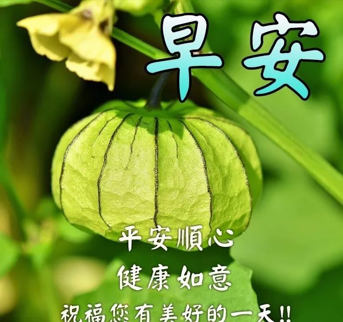 11月4日星期一早上好祝福问候语图片,暖心的早上好动态表情图片