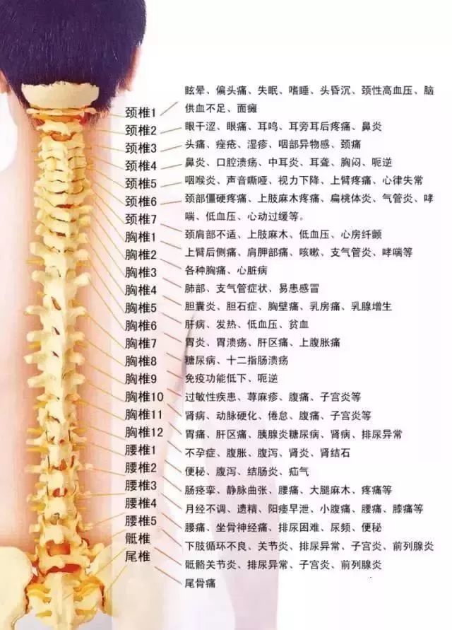 脊柱引起的108种疾病大全