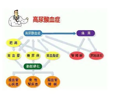 尿酸高的症状,尿酸高可以自己好吗?看看这个吧,调理并