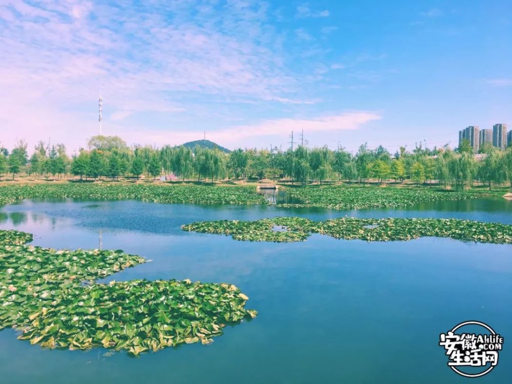 北雁湖,金茂湾,合肥,习友路,高新区,大蜀山