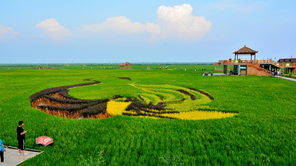 辽宁盘锦市红海滩风景,高清宽屏桌面壁纸