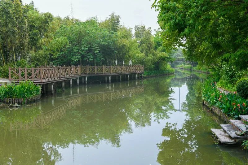 秀水泱泱 美丽河湖:嘉善拖鞋浜