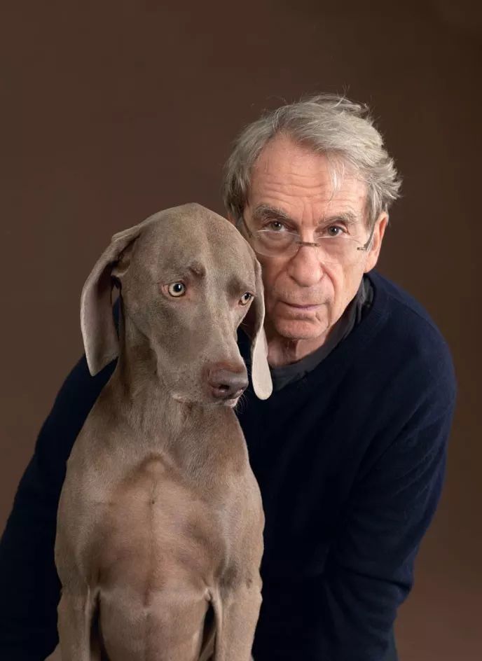 威廉姆·魏格曼 william wegman