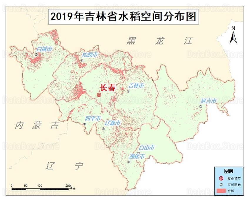 2019年吉林省水稻种植分布数据