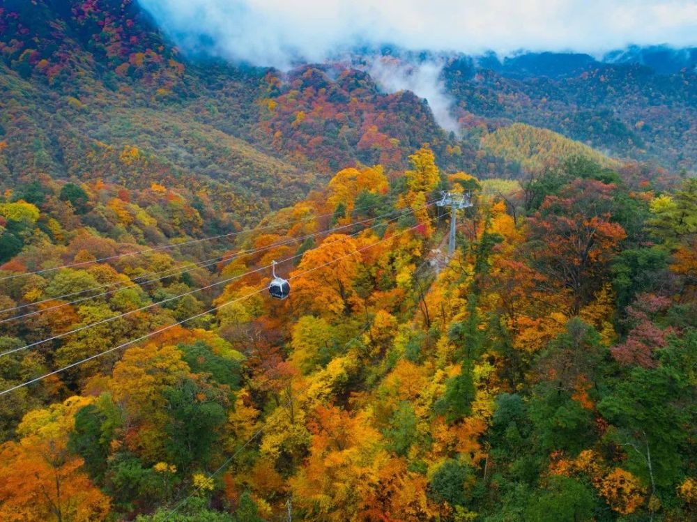 如今,乘坐香炉山索道,较以往观光车的游览方式,减少往返时间1个小时