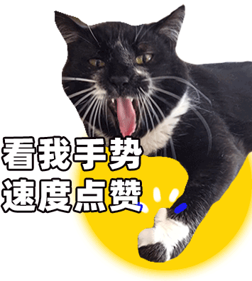 Q Tbn 3aand9gcrw3og7g2 Dwsjks 7g96bgaab Eivm4uiaxw Usqp Cau