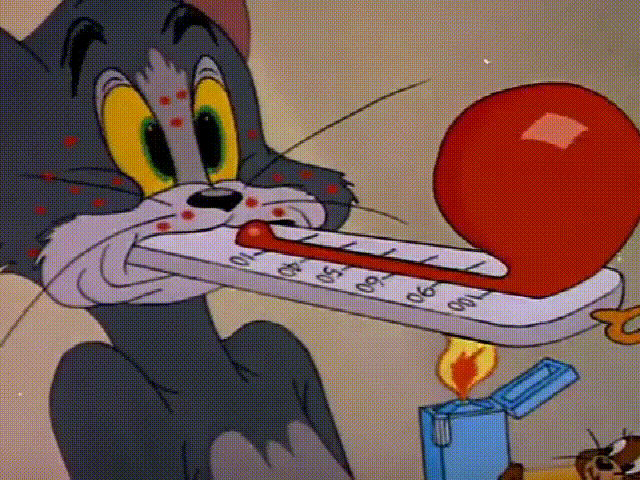 猫和老鼠:猫好不容易抓到鼠竟被鼠耍了,汤姆真是笑死我了!