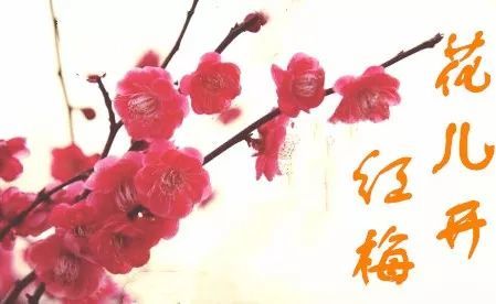 《想说爱你并不容易》作者/吴红梅