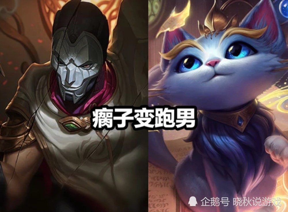 1,猫咪 烬