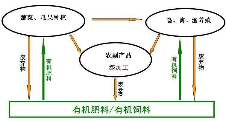 农业循环经济模式主要作用是什么?它的系统特征包括哪