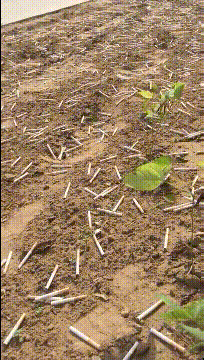 搞笑gif:这是一个平凡的周末,到坡上看大烟花!